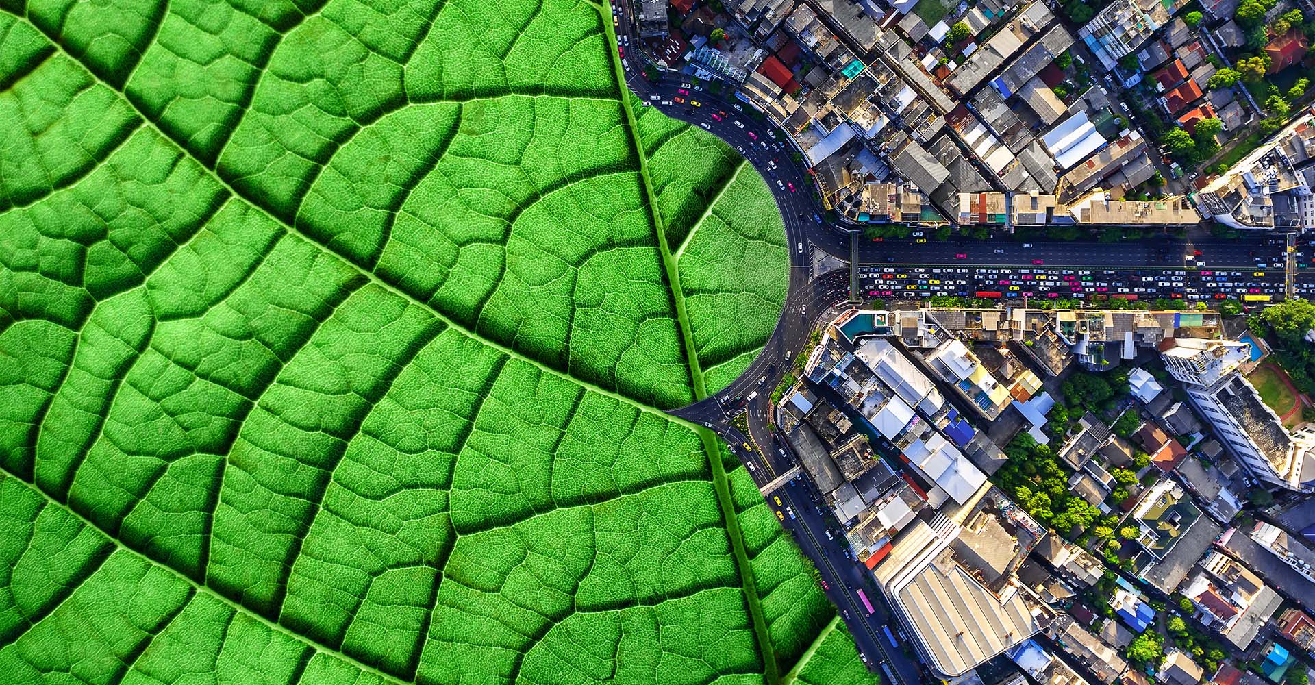 alba-group-header-stage-home3